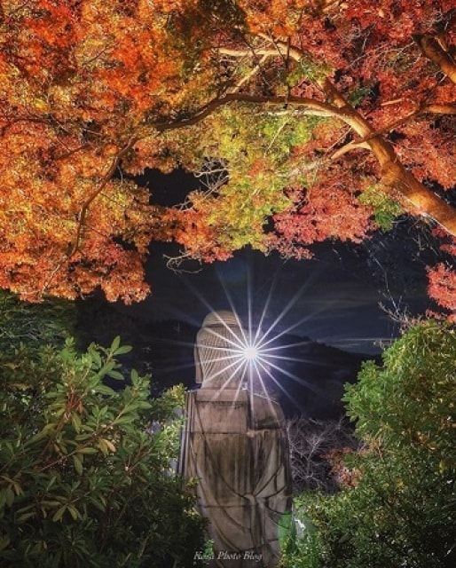 壷阪寺 紅葉ライトアップ夜間拝観 奈良県 の観光イベント情報 ゆこゆこ