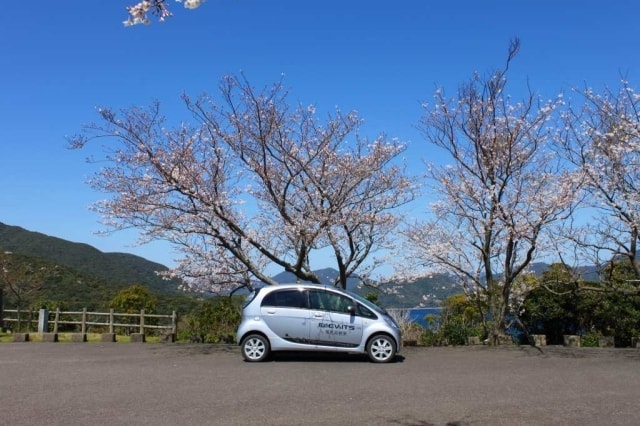 桜 見ごろ 龍観山展望所 長崎県 の観光イベント情報 ゆこゆこ