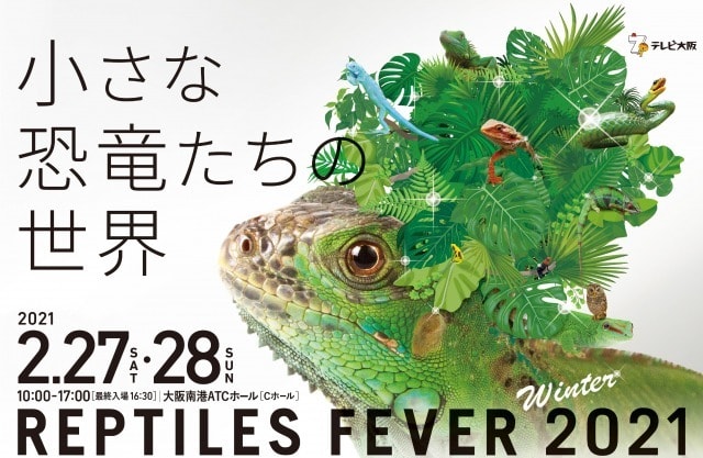 レプタイルズフィーバー Winter 21 大阪府 の観光イベント情報 ゆこゆこ