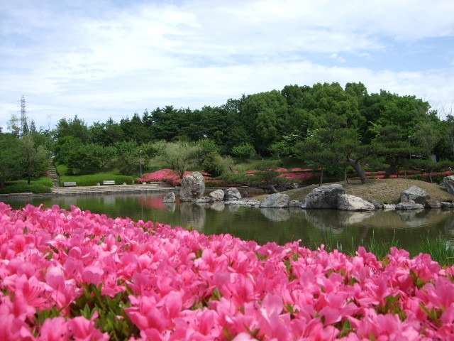 花 見ごろ びわこ文化公園のサツキ 滋賀県 の観光イベント情報 ゆこゆこ