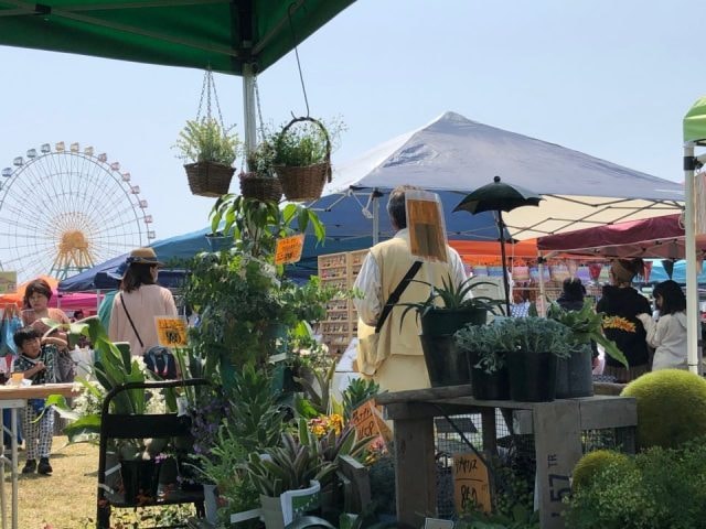 第4回 ロハスパーク赤穂 赤穂海浜公園 兵庫県 の観光イベント情報 ゆこゆこ