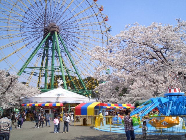 桜 見ごろ 華蔵寺公園 群馬県 の観光イベント情報 ゆこゆこ