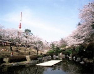 桜 見ごろ 八幡山公園 栃木県 の観光イベント情報 ゆこゆこ