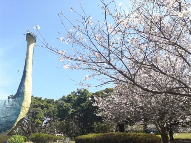 桜 見ごろ 桜島自然恐竜公園 鹿児島県 の観光イベント情報 ゆこゆこ