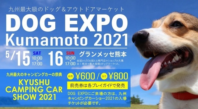 Dog Expo Kumamoto 21 熊本県 の観光イベント情報 ゆこゆこ