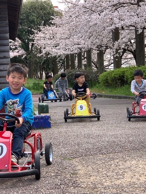 桜 見ごろ とだがわこどもランド 愛知県 の観光イベント情報 ゆこゆこ