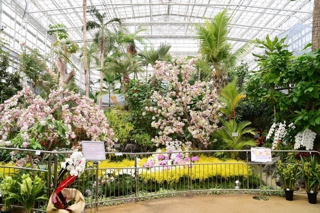 春の特別ラン展 広島県 の観光イベント情報 ゆこゆこ