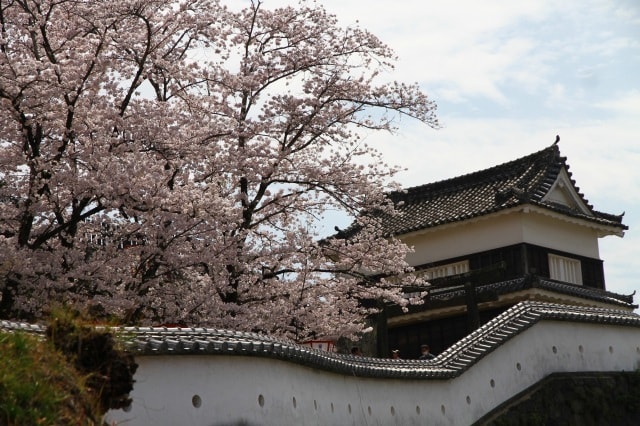 臼杵城址桜まつり 大分県 の観光イベント情報 ゆこゆこ