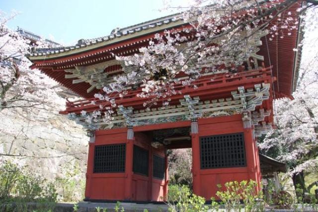 桜 見ごろ 雨引観音 茨城県 の観光イベント情報 ゆこゆこ