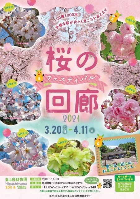 桜の回廊フェスティバル21 愛知県 の観光イベント情報 ゆこゆこ