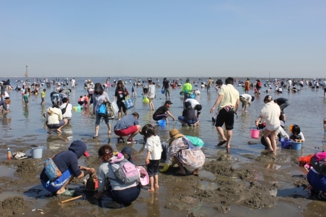 富津海岸潮干狩り場 千葉県 の観光イベント情報 ゆこゆこ