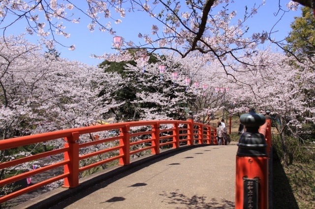 水郷おみがわ桜つつじまつり 千葉県 の観光イベント情報 ゆこゆこ