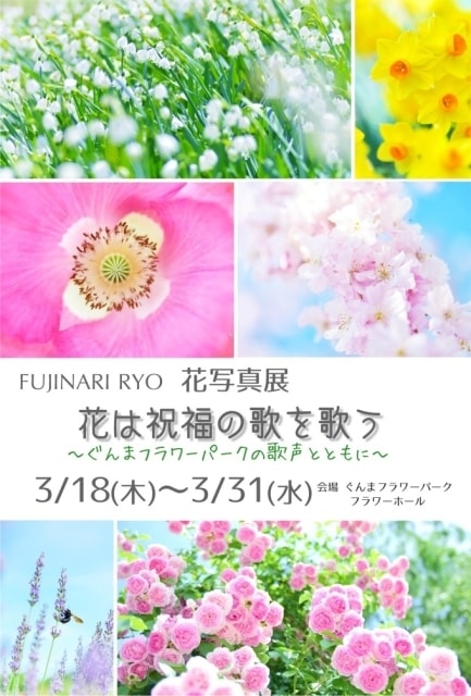 花写真展 花は祝福の歌を歌う 群馬県 の観光イベント情報 ゆこゆこ