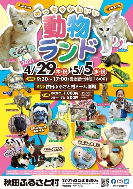めっちゃかわいい動物ランド 秋田県 の観光イベント情報 ゆこゆこ