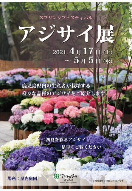 アジサイ展 鹿児島県 の観光イベント情報 ゆこゆこ