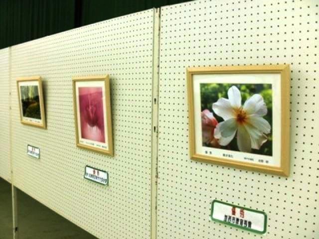 21春の写真コンテスト入賞作品展 兵庫県 の観光イベント情報 ゆこゆこ 21春の写真コンテスト入賞作品展 兵庫県 の観光イベント情報 ゆこゆこ
