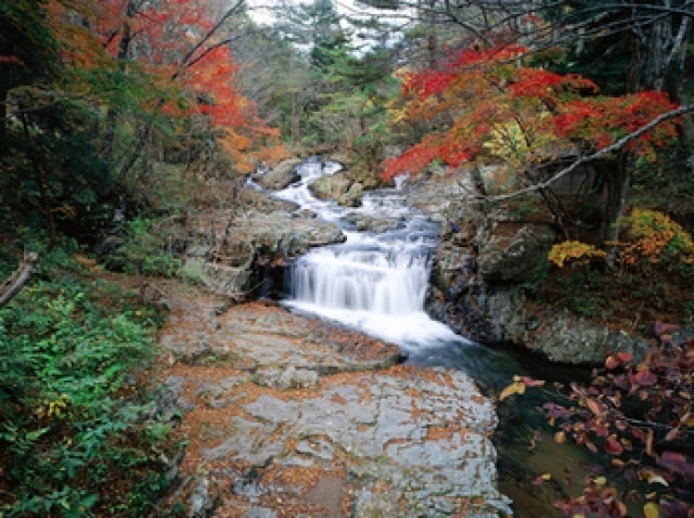 紅葉 見ごろ 小黒滝 岩手県 の観光イベント情報 ゆこゆこ