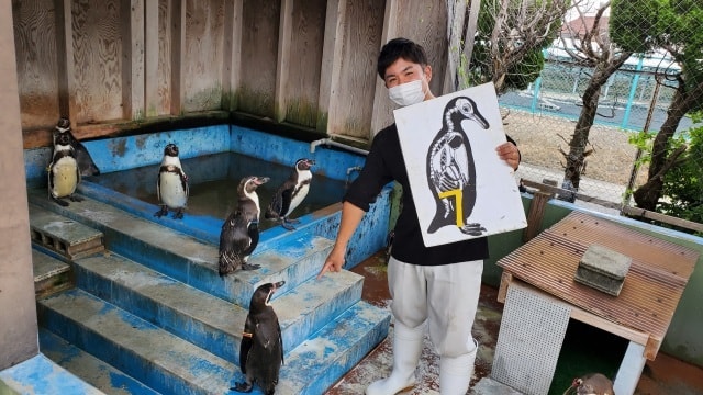 ユニトピアささやまサマーカーニバル 兵庫県 の観光イベント情報 ゆこゆこ