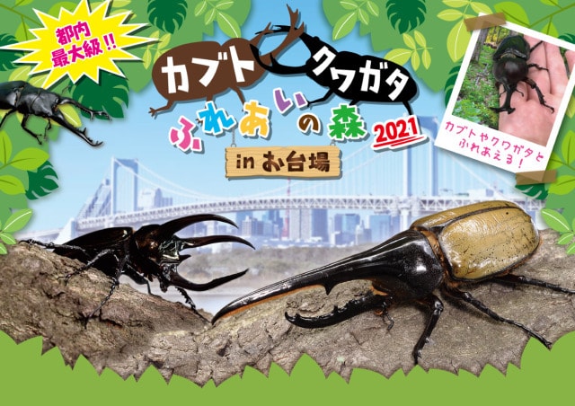 カブト クワガタ ふれあいの森 2021 In お台場 東京都 の観光イベント情報 ゆこゆこ