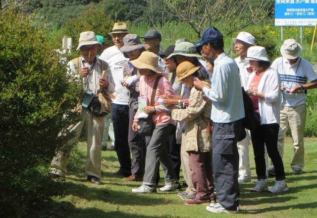 植物観察会 9月 茨城県 の観光イベント情報 ゆこゆこ