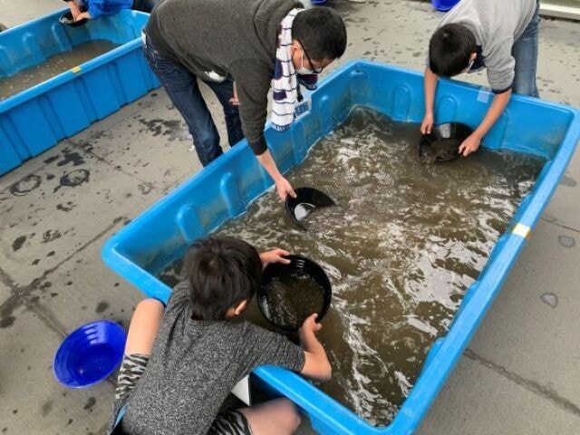 東北歴史博物館体験イベント 秋の 見 覚まるかじり博物館 宮城県 の観光イベント情報 ゆこゆこ