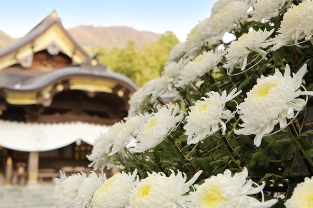 新潟県のおすすめ観光イベントランキング 毎日更新 ゆこゆこ 新潟県のおすすめ観光イベントランキング 毎日更新 ゆこゆこ