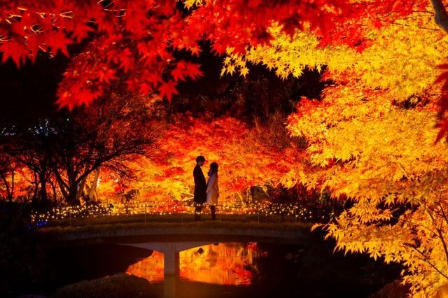 紅葉 見ごろ なばなの里 錦秋の絶景 三重県 の観光イベント情報 ゆこゆこ