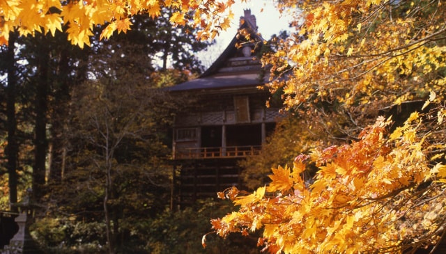 紅葉 見ごろ 佐渡 清水寺 せいすいじ 新潟県 の観光イベント情報 ゆこゆこ