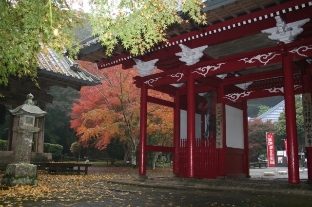 紅葉 見ごろ 南房総市小松寺 千葉県 の観光イベント情報 ゆこゆこ