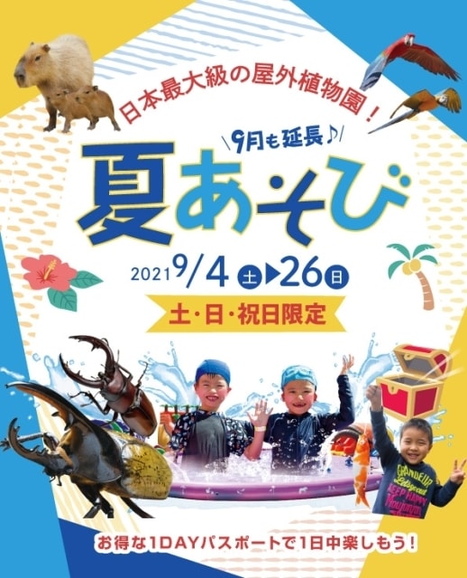 沖縄県のおすすめ観光イベントランキング 毎日更新 ゆこゆこ