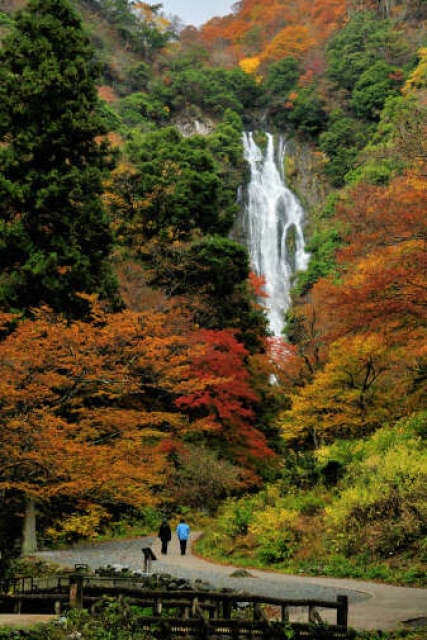 紅葉 見ごろ 神庭の滝 岡山県 の観光イベント情報 ゆこゆこ