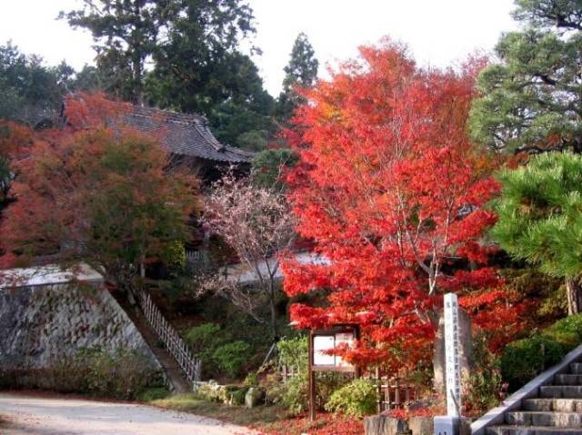 紅葉 見ごろ 普門寺 岡山県 の観光イベント情報 ゆこゆこ