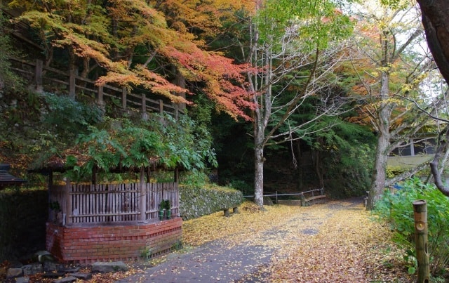 紅葉 見ごろ 塩江温泉郷 香川県 の観光イベント情報 ゆこゆこ 紅葉 見ごろ 塩江温泉郷 香川県 の観光イベント情報 ゆこゆこ
