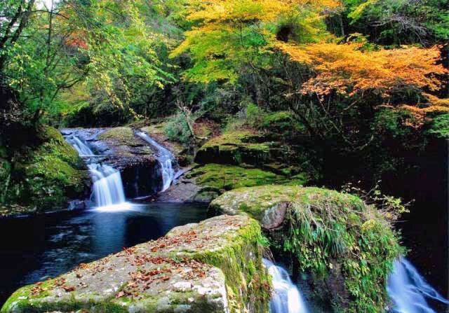 紅葉 見ごろ 赤目四十八滝 三重県 の観光イベント情報 ゆこゆこ