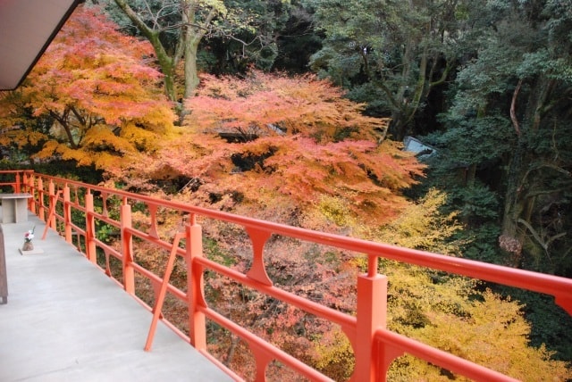 紅葉 見ごろ 由加神社本宮 岡山県 の観光イベント情報 ゆこゆこ