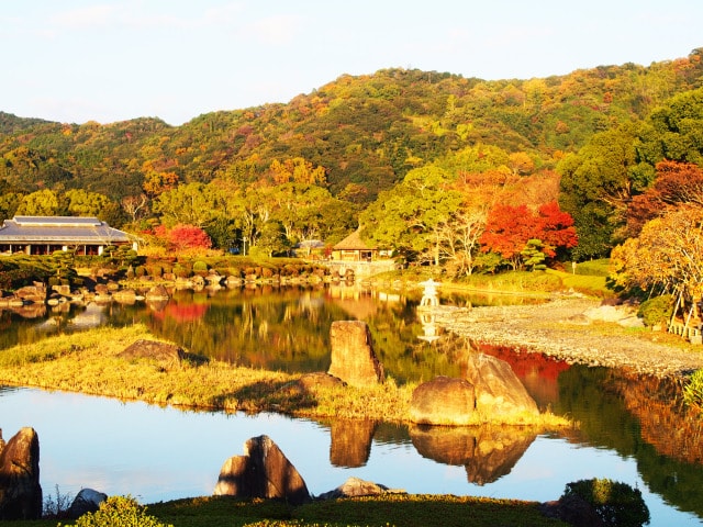 秋のいやしの南楽園 愛媛県 の観光イベント情報 ゆこゆこ