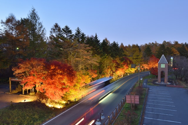 道の駅 草津運動茶屋公園 紅葉ライトアップ 群馬県 の観光イベント情報 ゆこゆこ