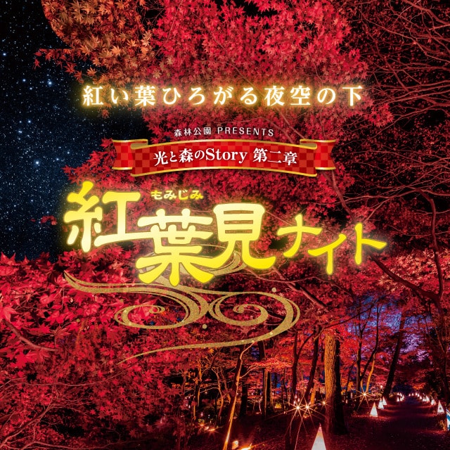 森林公園 紅葉見ナイト21 埼玉県 の観光イベント情報 ゆこゆこ