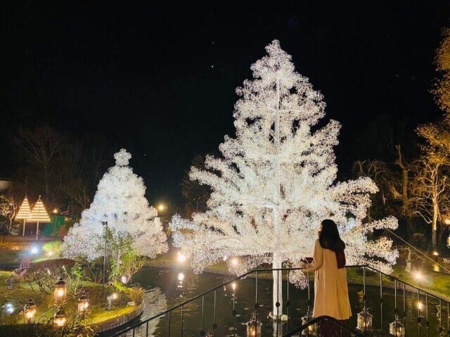 あなたの心を燈す 箱根のすてきな灯り展 スイーツ21 22秋冬 神奈川県 の観光イベント情報 ゆこゆこ