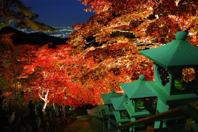 大山地区紅葉ライトアップ 神奈川県 の観光イベント情報 ゆこゆこ