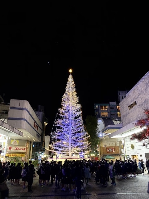 イルミネーションフェスタ21 高知県 の観光イベント情報 ゆこゆこ