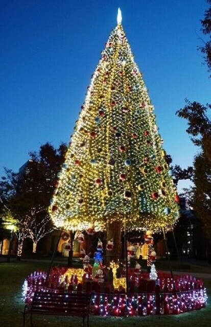 ノリタケの森 クリスマスガーデン21 愛知県 の観光イベント情報 ゆこゆこ