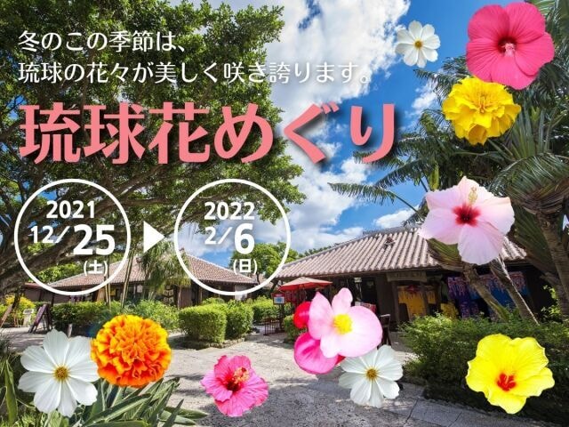 琉球花めぐり 沖縄県 の観光イベント情報 ゆこゆこ