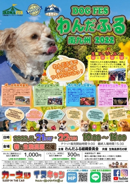 宮崎県のおすすめ観光イベントランキング 毎日更新 ゆこゆこ