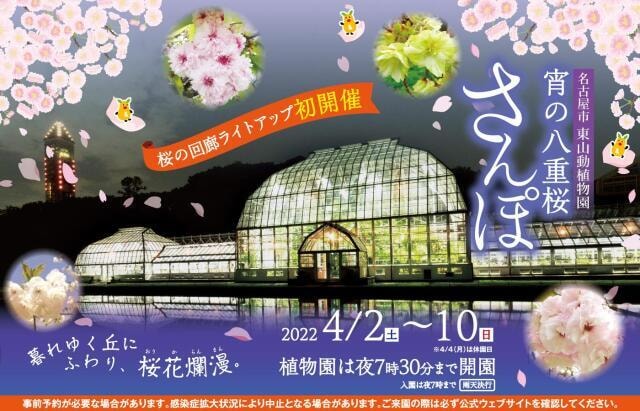 桜 見ごろ 東山動植物園 愛知県 の観光イベント情報 ゆこゆこ