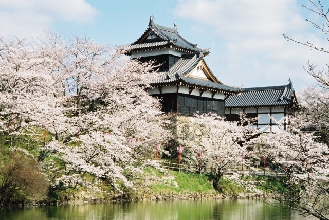 第61回大和郡山 お城まつり 奈良県 の観光イベント情報 ゆこゆこ