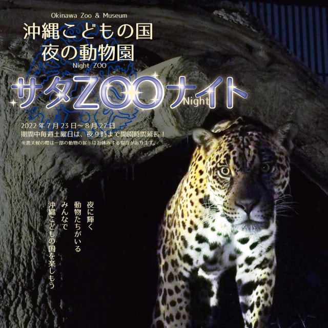 夏休み恒例イベント 夜の動物園 サタzooナイト 沖縄県 の観光イベント情報 ゆこゆこ