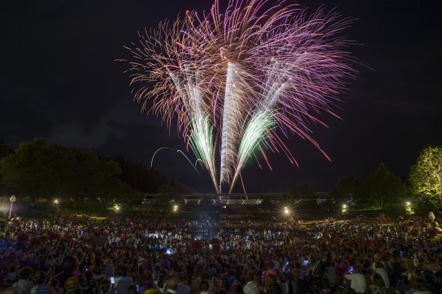 なんぶ町民花火大会 中止となりました 鳥取県 の観光イベント情報 ゆこゆこ