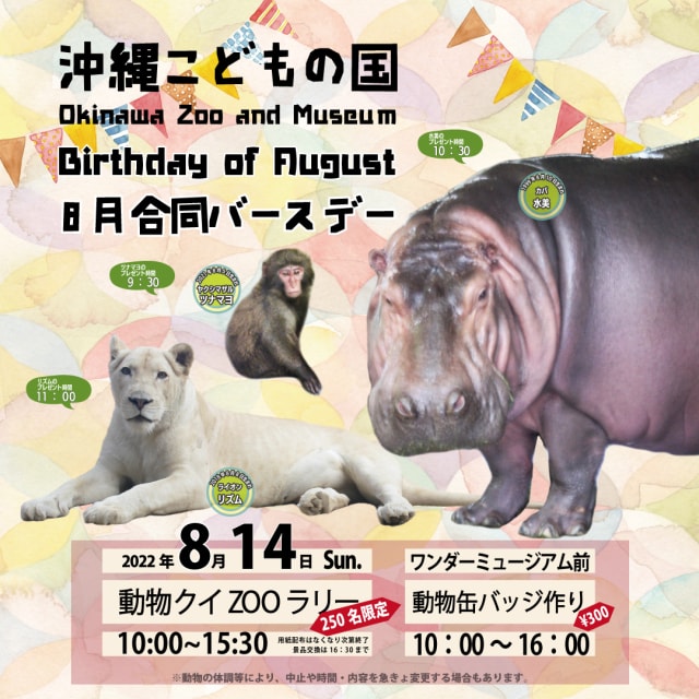 動物8月合同バースデー 沖縄県 の観光イベント情報 ゆこゆこ