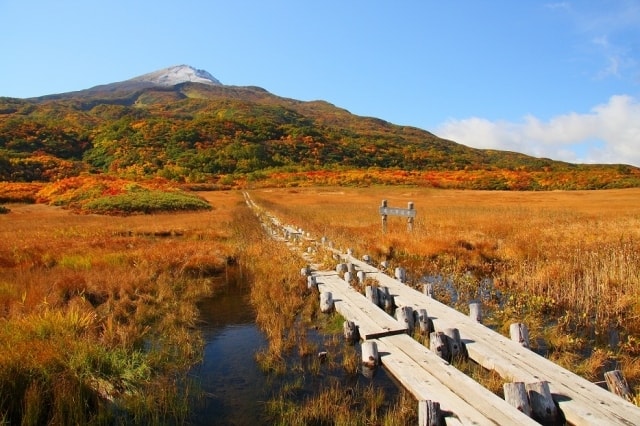 紅葉 見ごろ 鳥海山 秋田県 の観光イベント情報 ゆこゆこ 紅葉 見ごろ 鳥海山 秋田県 の観光イベント情報 ゆこゆこ